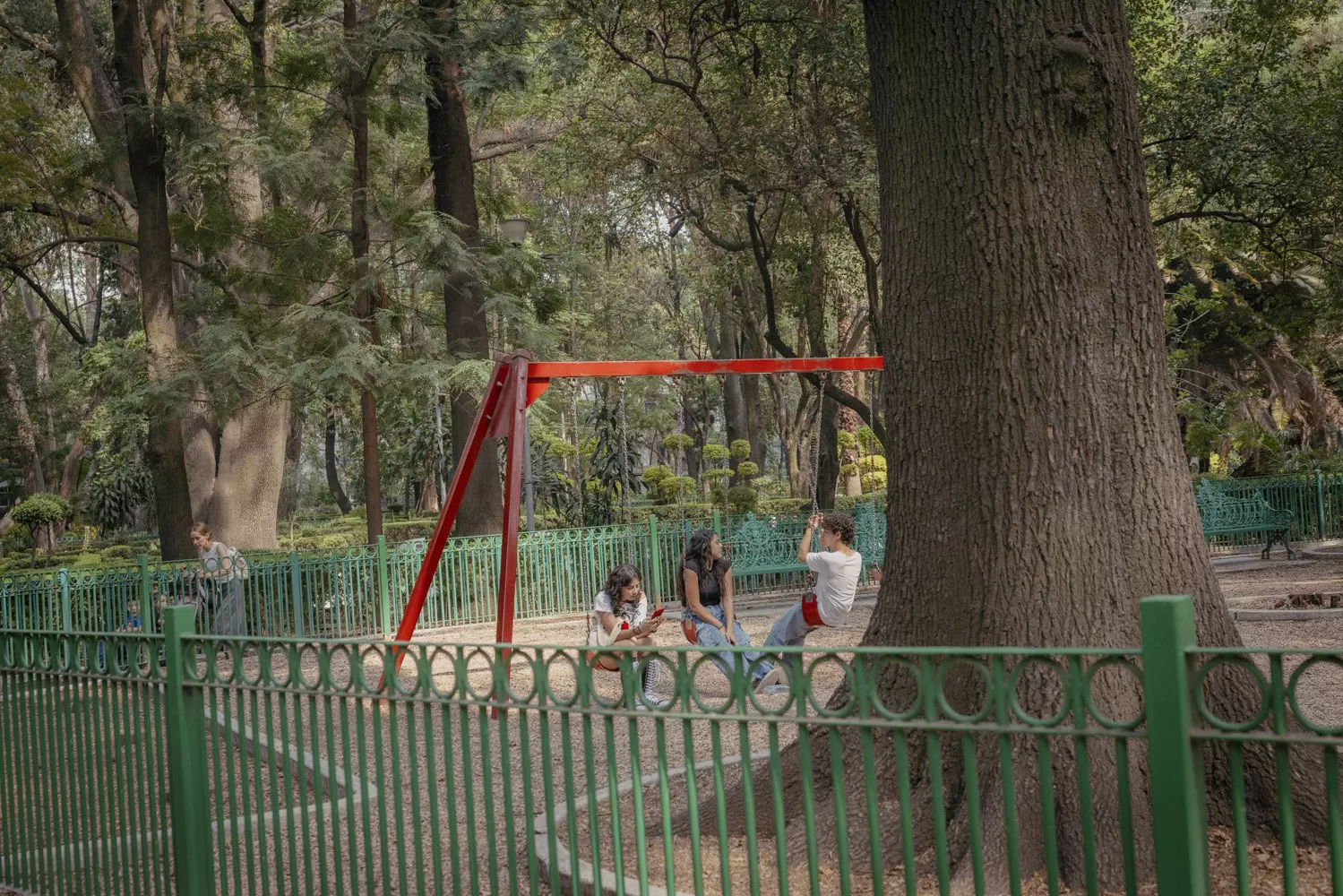 Young people sit on swings under a huge tree in a city park.