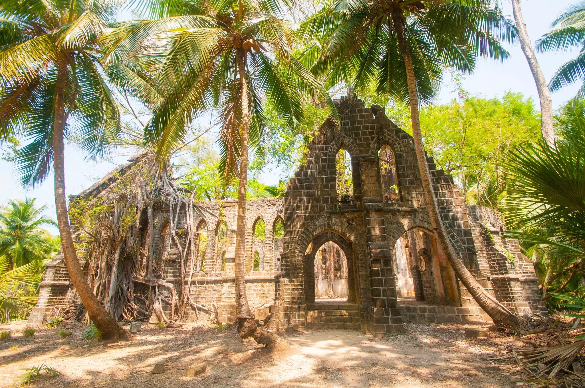 The ruined exterior of a church is seen surrounded by palm trees and other vegetation in a jungle.