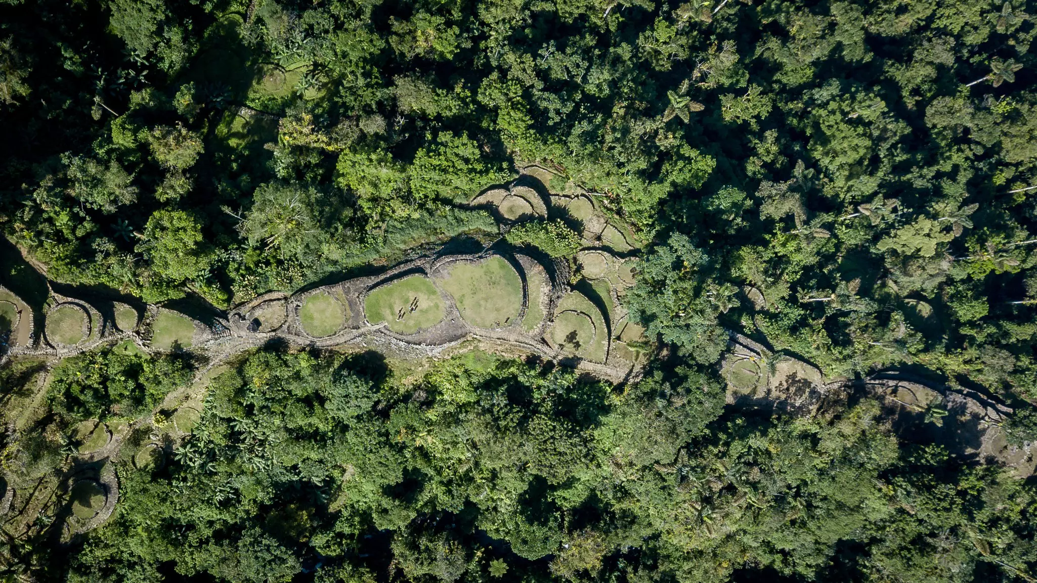 Terraces,Of,The,Lost,City,(ciudad,Perdida),In,The,Sierra