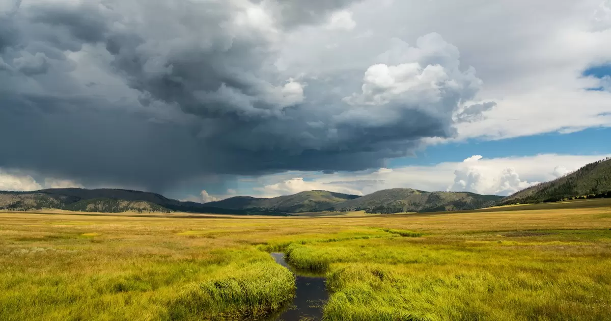How to take a perfect spring break road trip through New Mexico ...