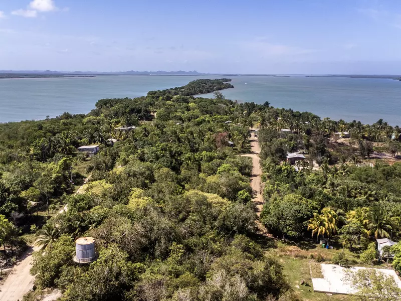 Aerial view of forested island with the sea beyond on a sunny day.