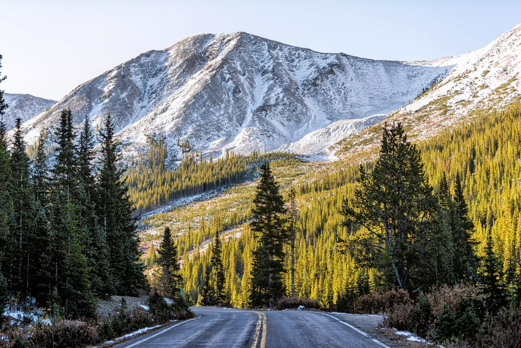 A paved road lined with green trees, with a view of snow-dusted mountains ahead