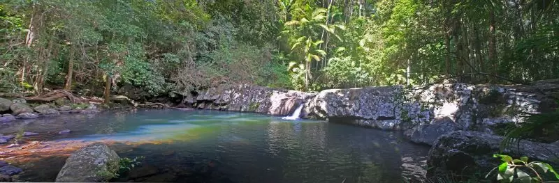 Panoramic view of lush rainforest and a natural pool with colors reflecting off it