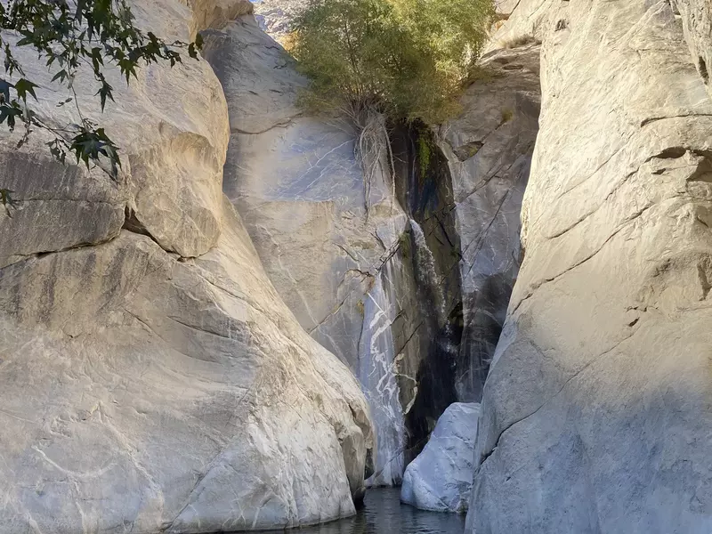 Palm Springs Ultimate Weekend-Chamidae Ford