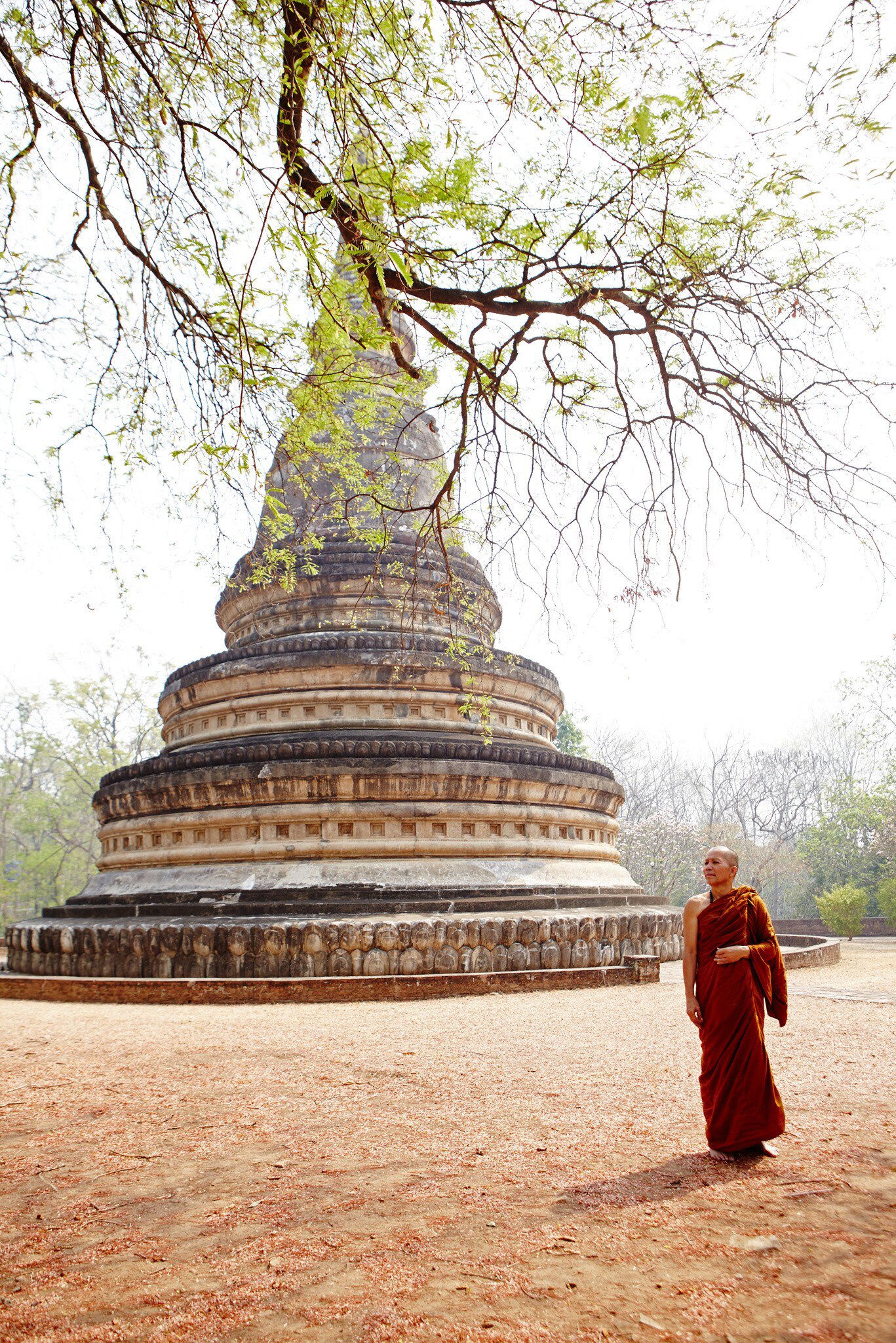 A monk in a saffron robe stands in front of a large weathered stone stupa, with tree branches hanging overhead.