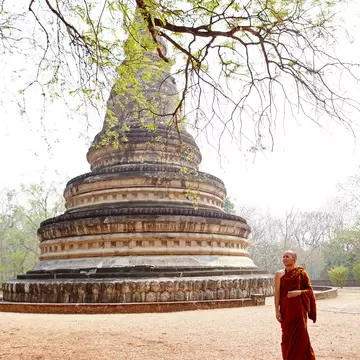 A monk in a saffron robe stands in front of a large weathered stone stupa, with tree branches hanging overhead.