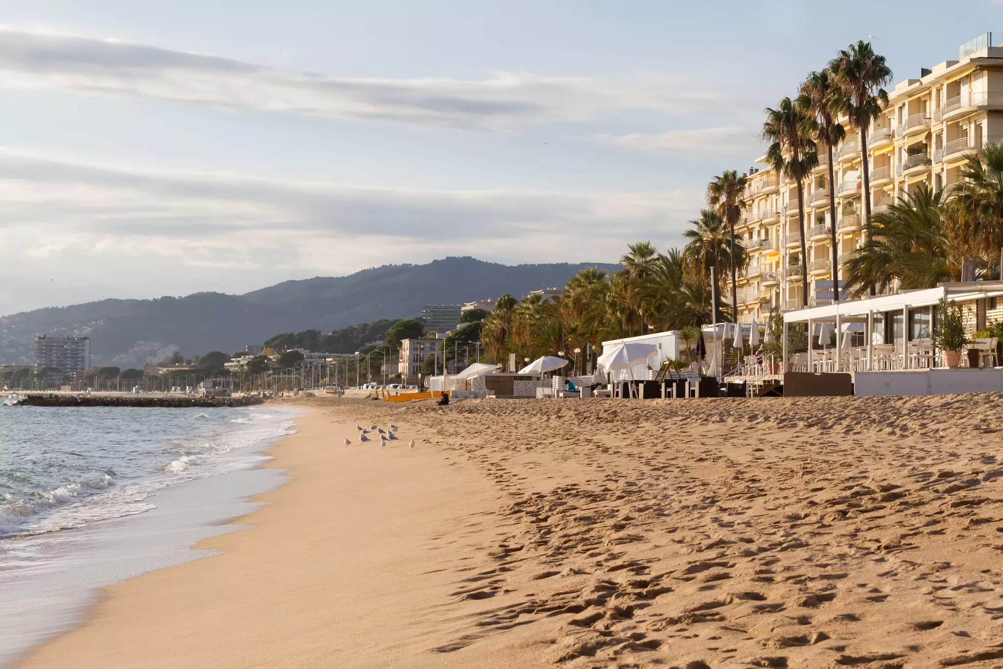 A sandy beach in mild winter season with palm trees and buildings to the right and the ocean to the left.