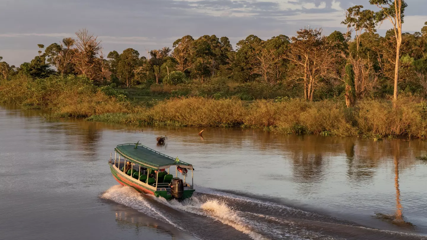 A cruise down the mighty Amazon on the bucket list of most adventurous travelers. Here’s how to plan yours © Ramesh Thadani / Getty Images