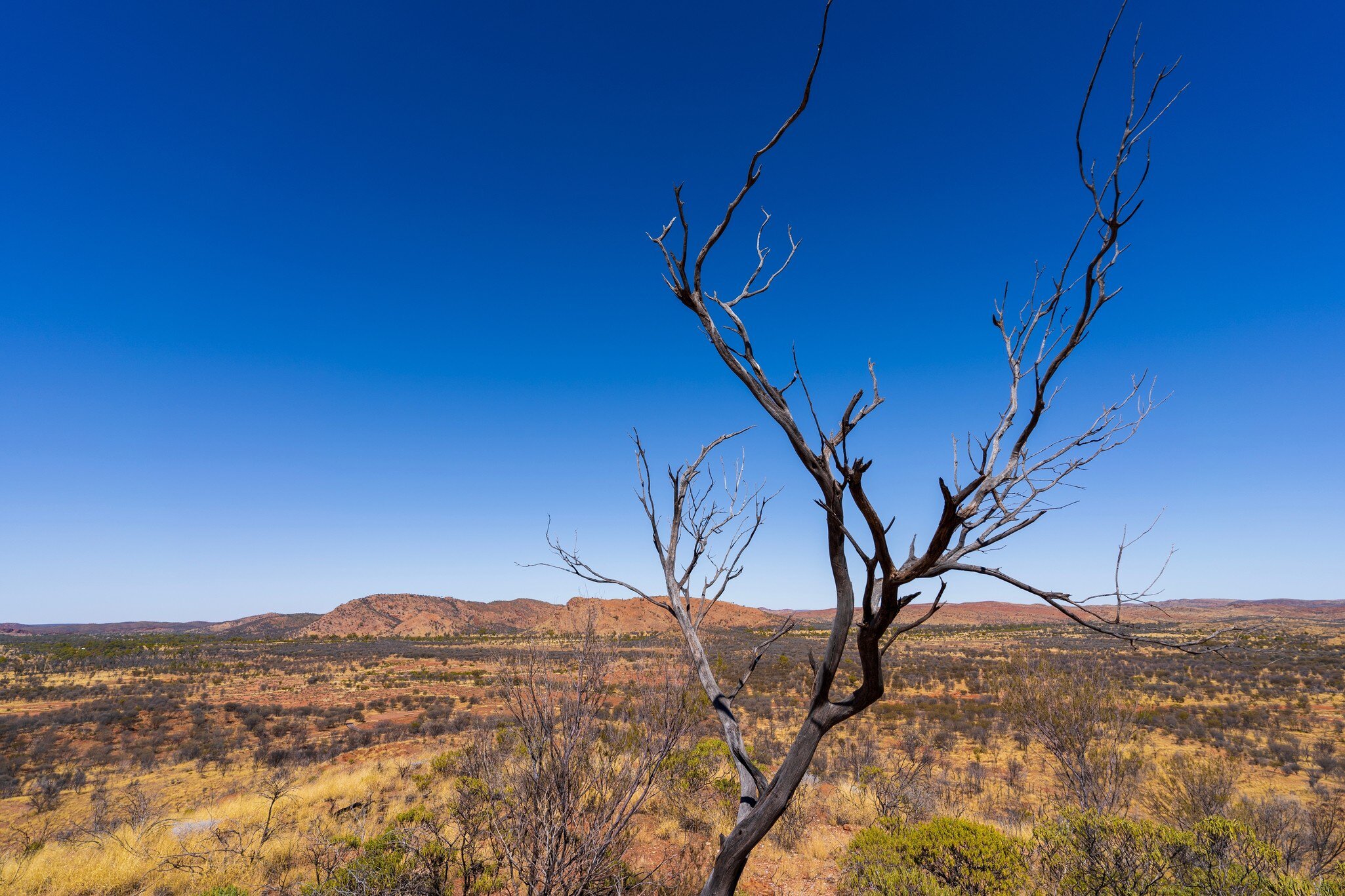 View of the West MacDonnell Range from Cassia Hill in Alice Springs, Central Australia.