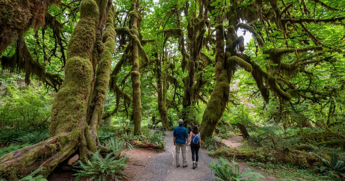The 17 best things to do in Washington state - Lonely Planet