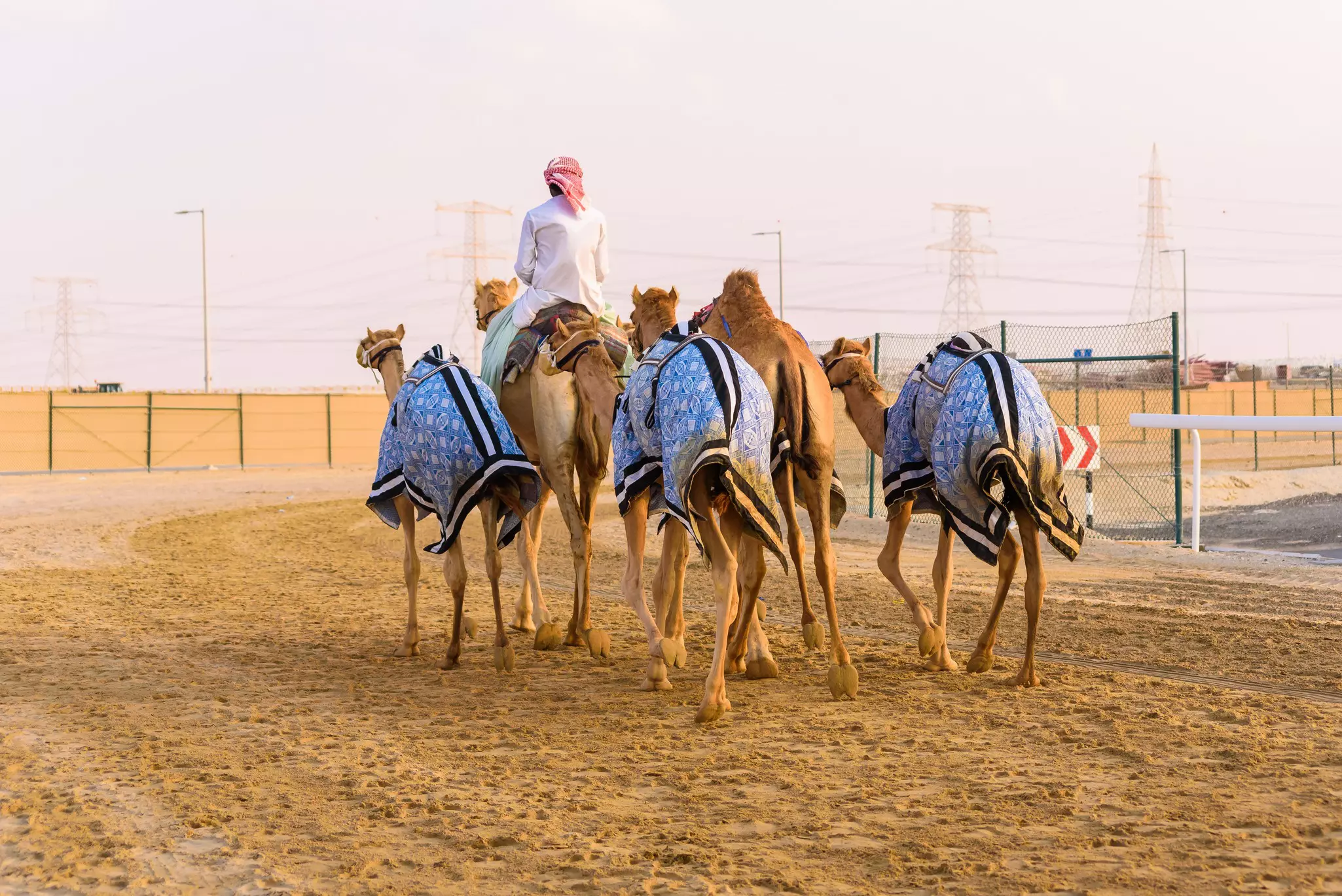 Spend a day at the camel races at Al Wathba just outside Abu Dhabi © niranana / Shutterstock