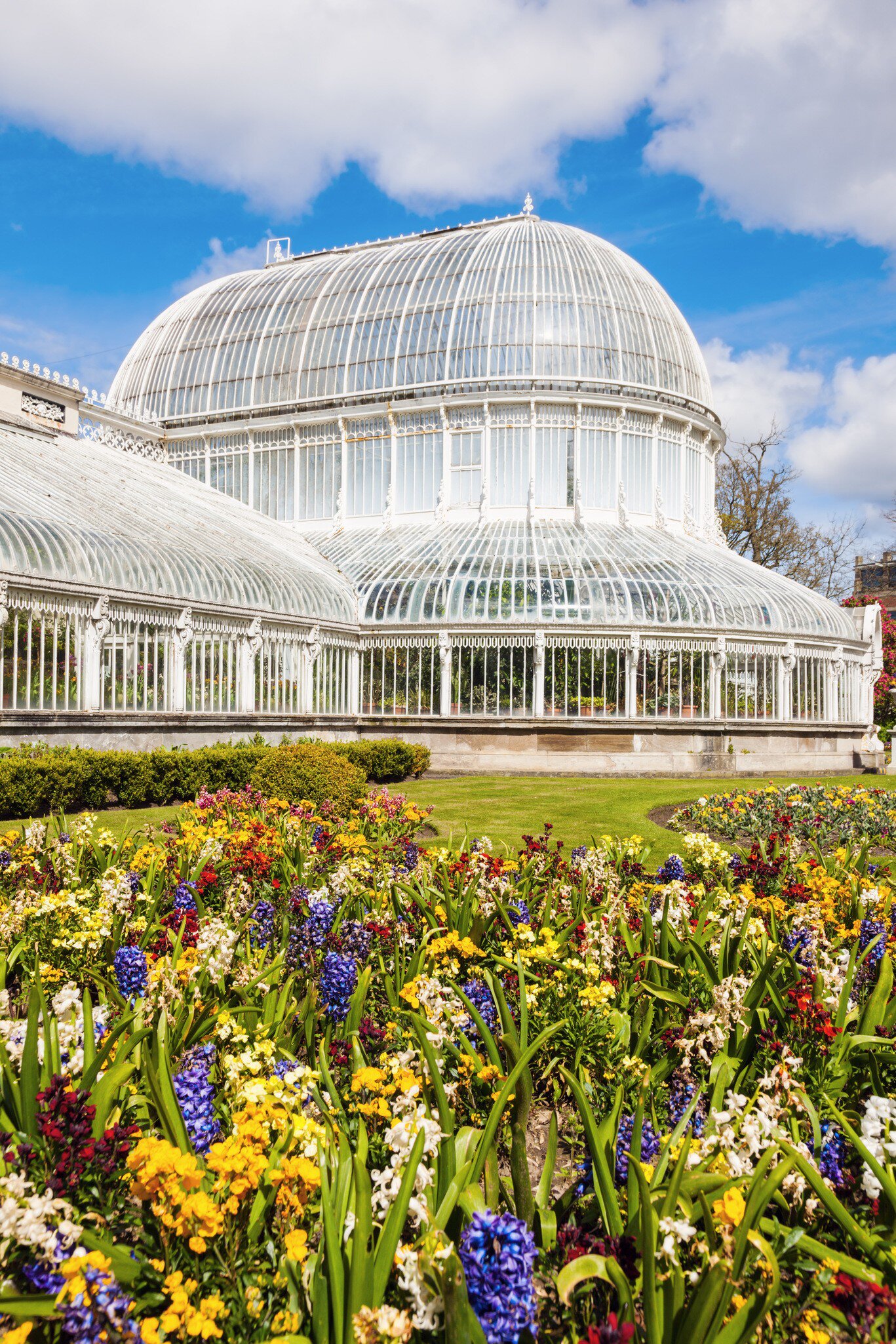 Flower bed outside Palm House of the Botanic Gardens in Belfast, Ireland. 