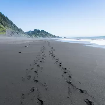 Footsteps in the black sand of the Lost Coast backpacking trail in California.
