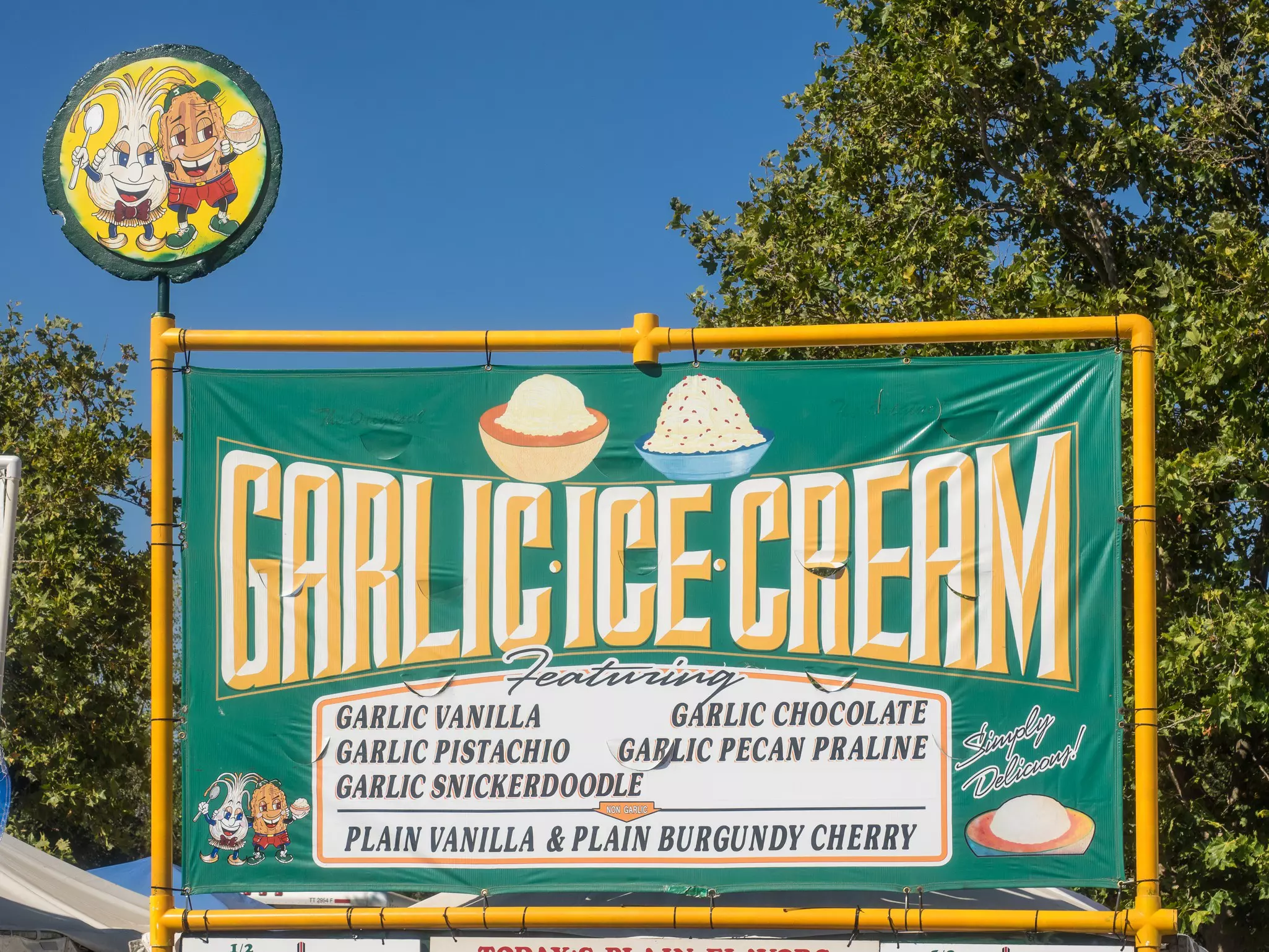 Close-up of large green sign reading "Garlic Ice Cream" and a list of garlic-based flavors on a sunny day.