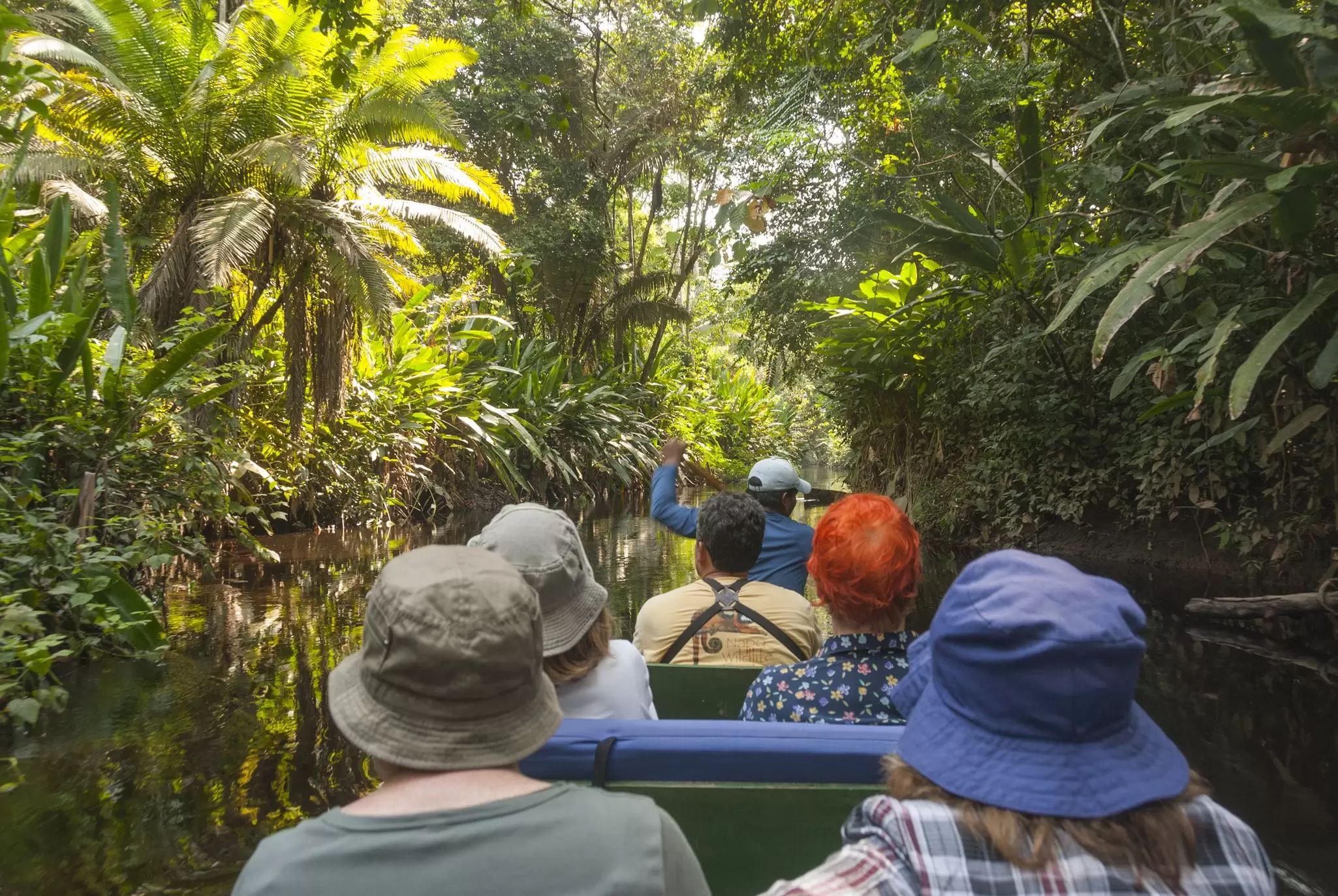 It's free to enter Yasuni National Park, which leaves extra cash for a guided tour © John Elk III / Getty Images