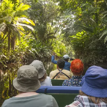 It's free to enter Yasuni National Park, which leaves extra cash for a guided tour © John Elk III / Getty Images