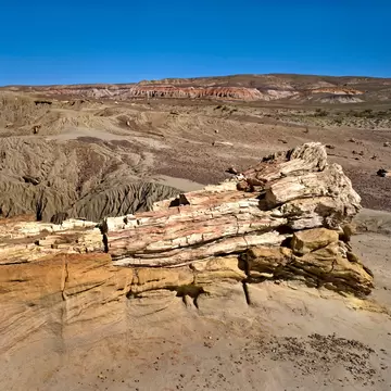 Tree trunks and wood chips at the The Petrified Forest near Sarmiento, Patagonia, Argentina.
