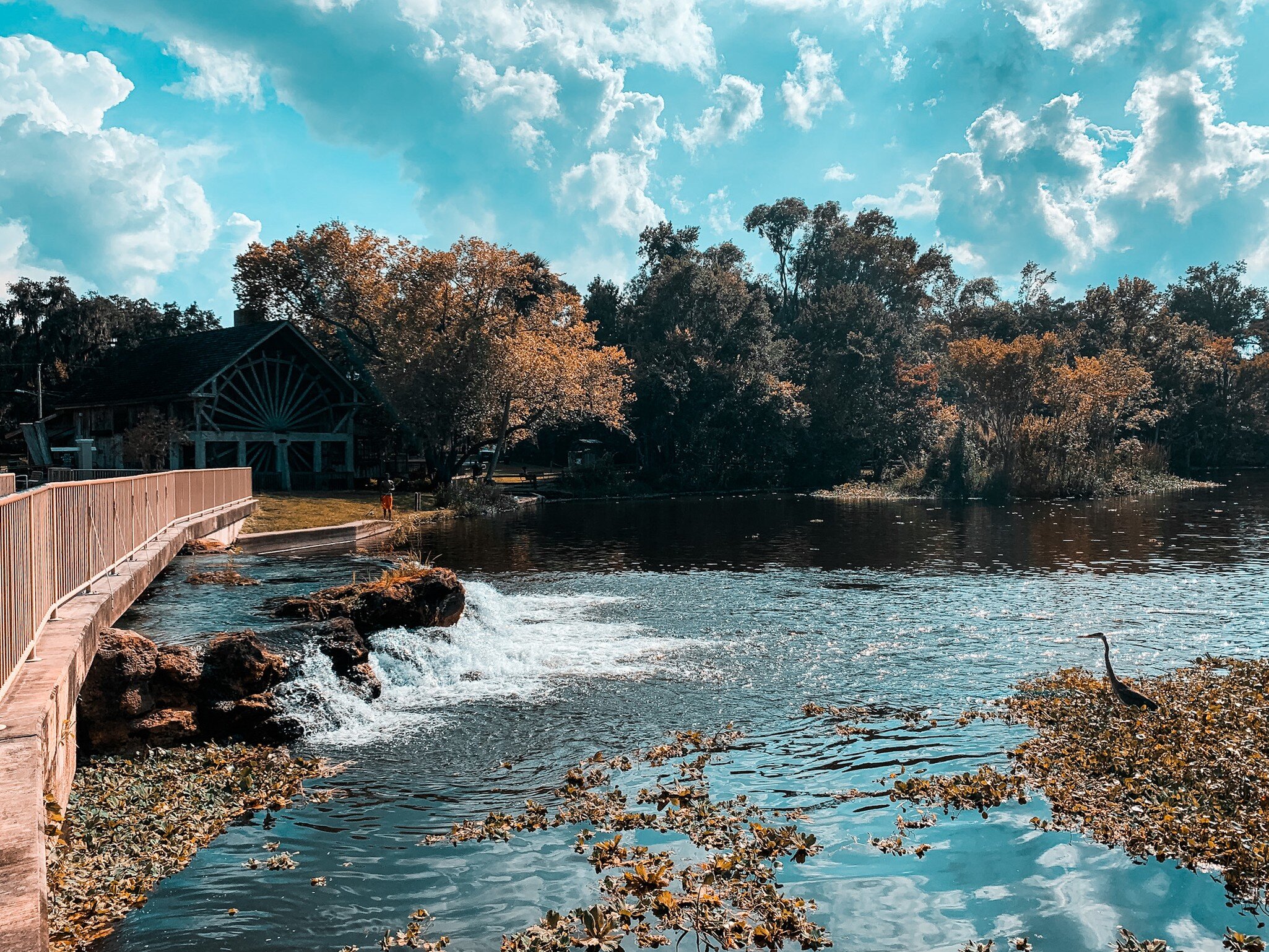 A railing over a small waterfall leads to a mill by a body of water in Florida; sunlight casts shadows from trees onto the water.