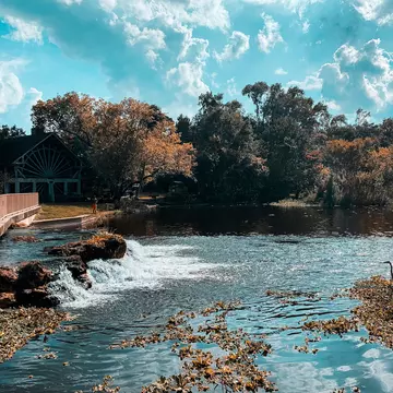 A railing over a small waterfall leads to a mill by a body of water in Florida; sunlight casts shadows from trees onto the water.