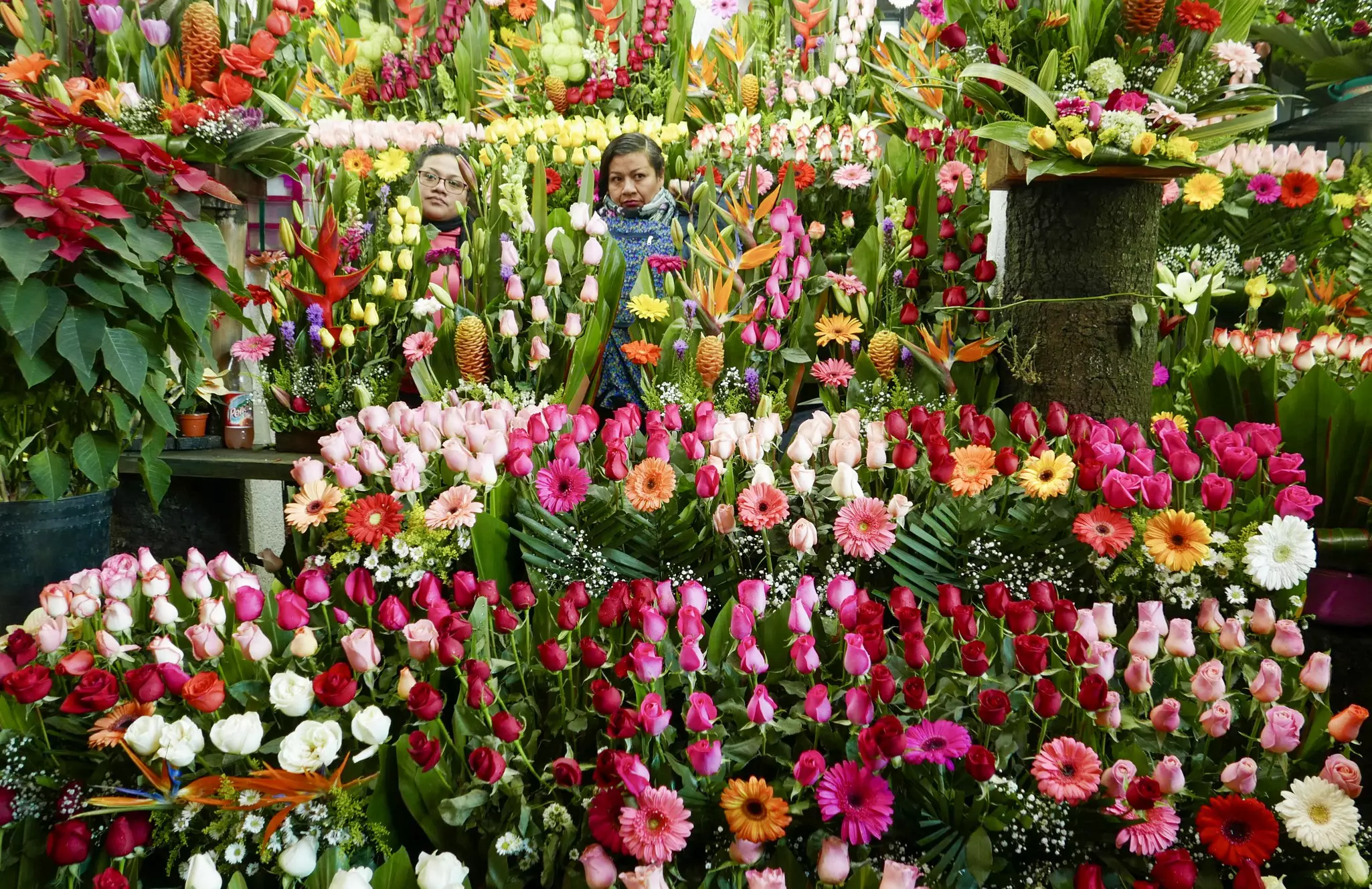 Two women behind lush florals at Jamaica Market