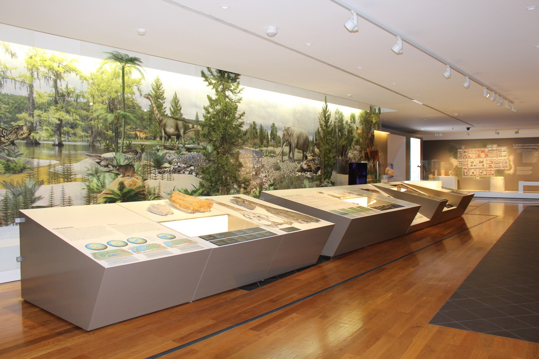 View of the exhibits at the Museu de Leiria in Leiria, Portugal.