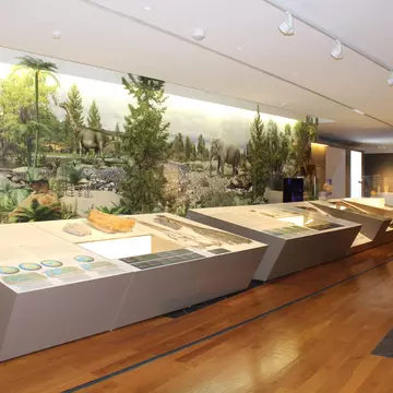 View of the exhibits at the Museu de Leiria in Leiria, Portugal.