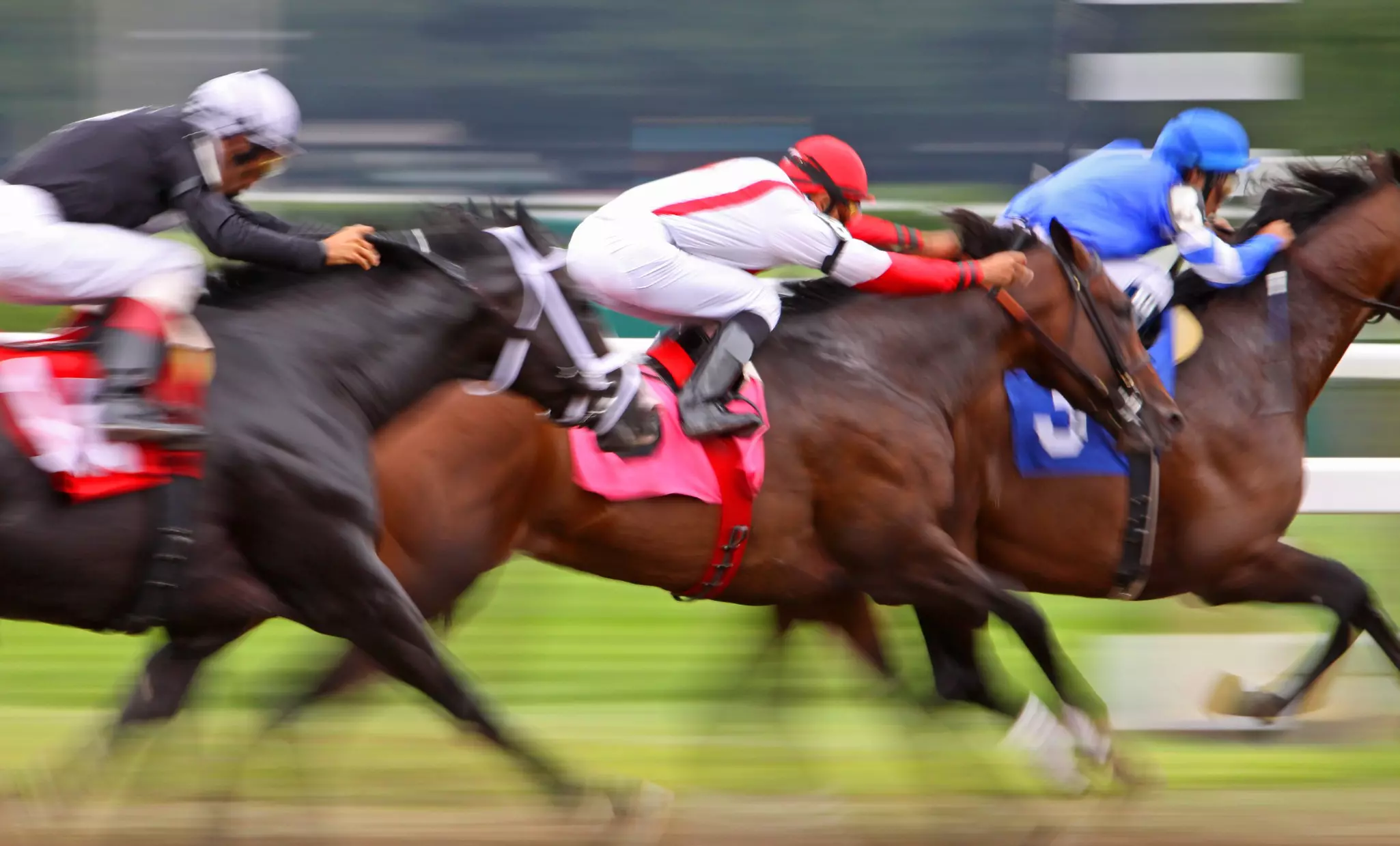 Close-up blurred shot of three racehorses and jockeys.