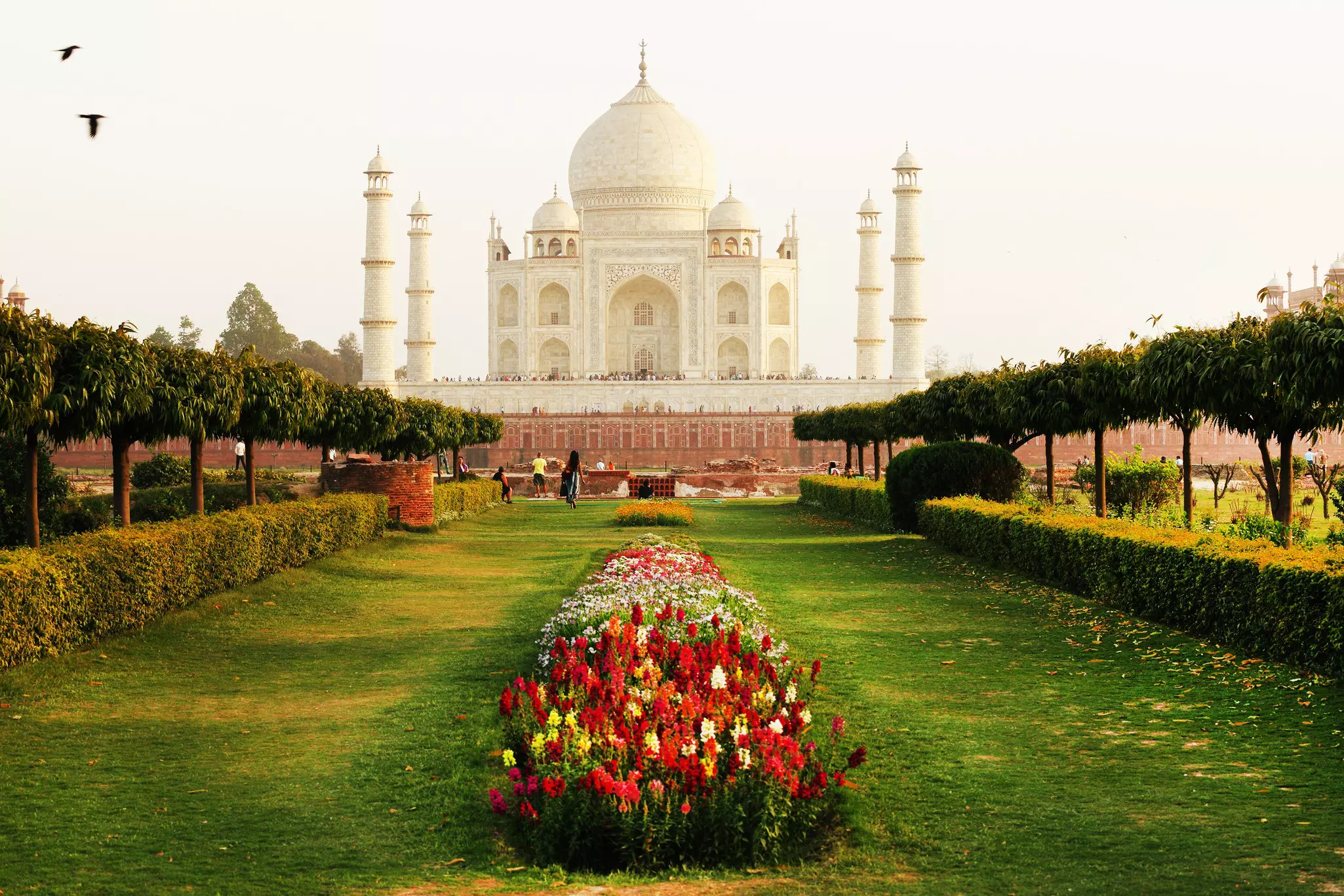 Taj Mahal in sunset light, Agra, Uttar Pradesh, India