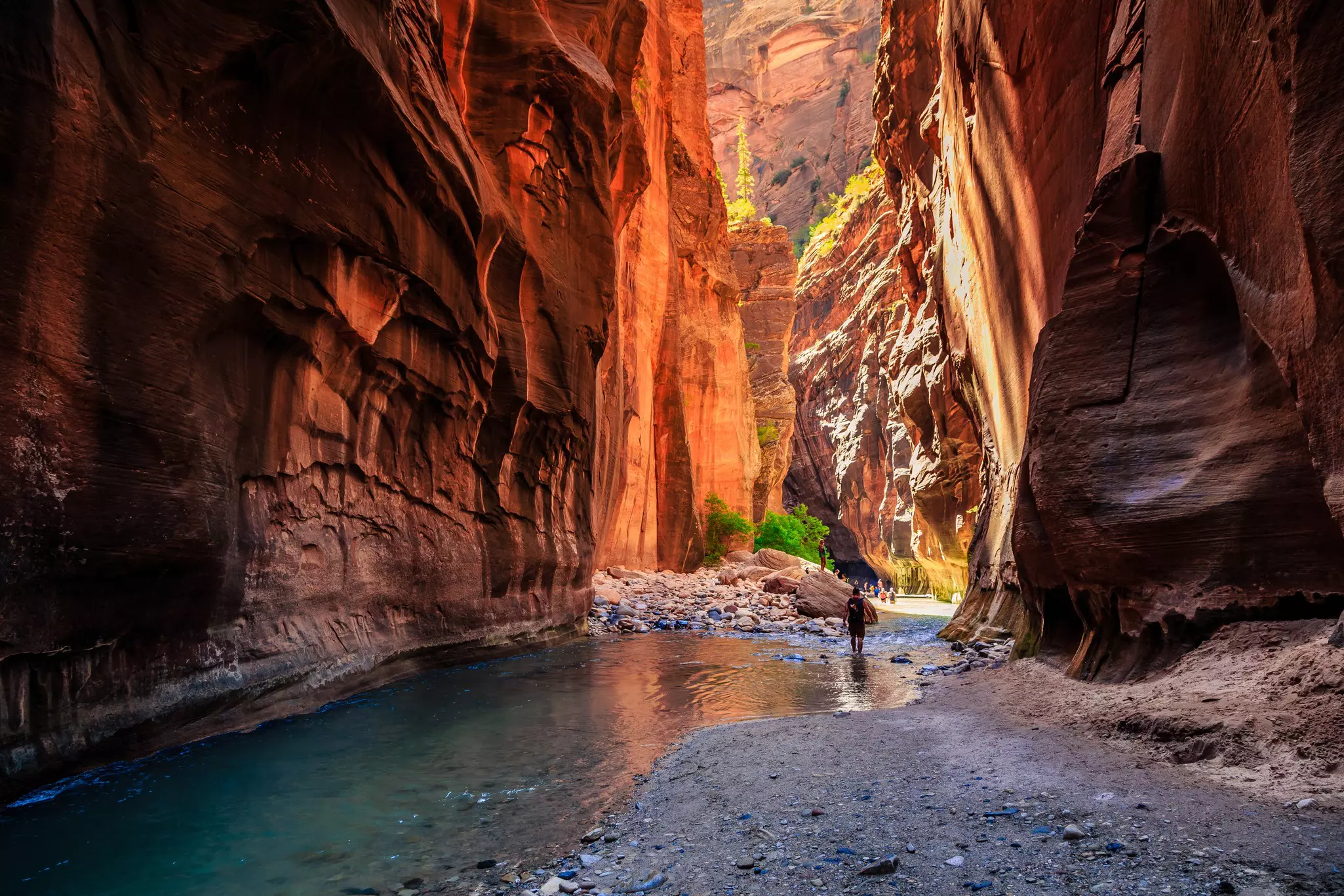 Zion National Park is home to some of the most iconic landscapes in the American Southwest © Stephen Moehle / Shutterstock