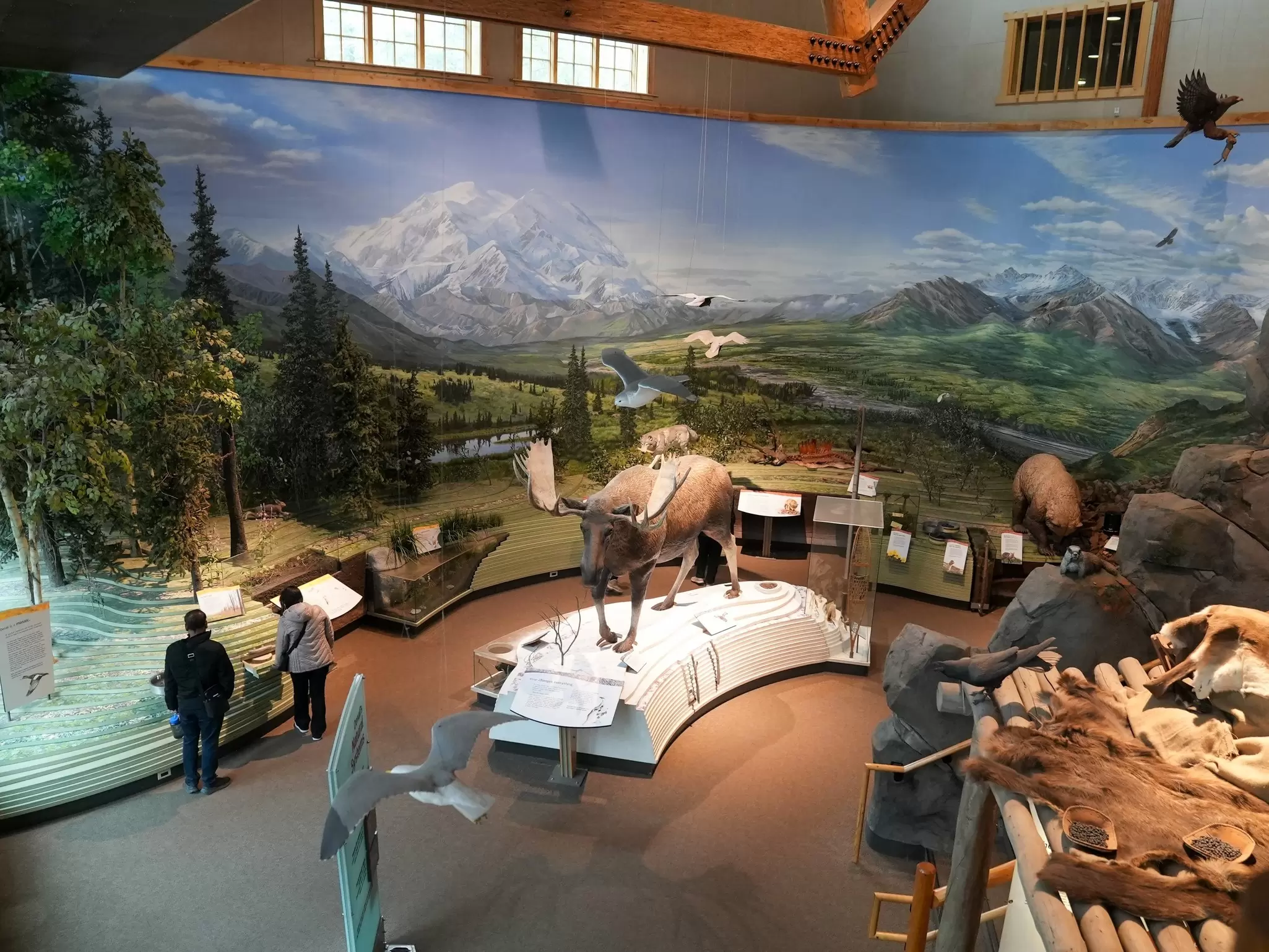 Denali National Park, AK, USA – AUGUST 15, 2024: Denali Visitor Center located in the national park, License Type: media, Download Time: 2025-12-03T19:52:00.000Z, User: mvm_lonelyplanet, Editorial: true, purchase_order: 56530 - Guidebooks, job: Alaska 15, client: Global Publishing-WIP, other: Virginia Moreno