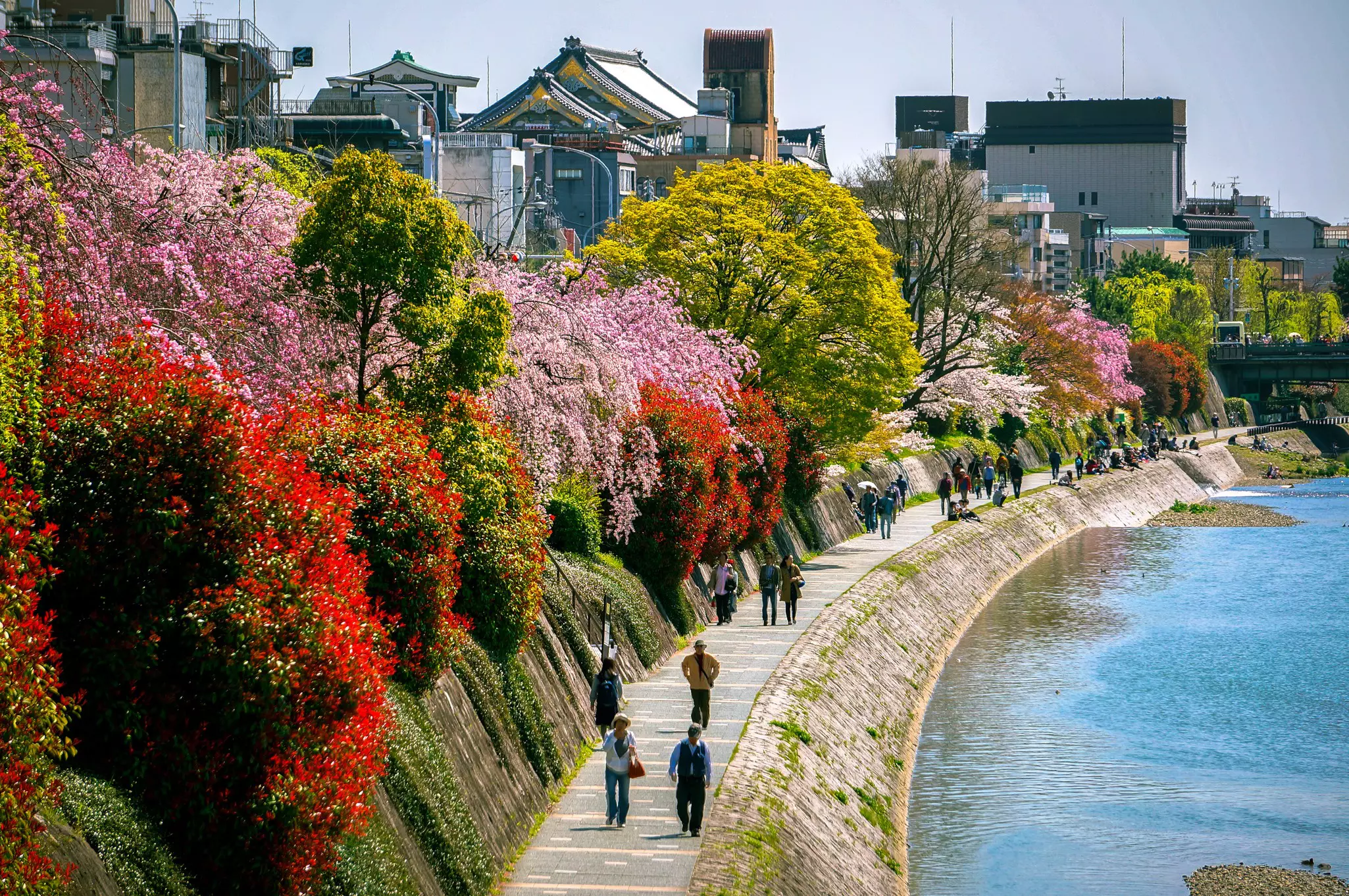 People walk along the embankment path beside a river lined with flowers and plants in bloom in the sunshine.