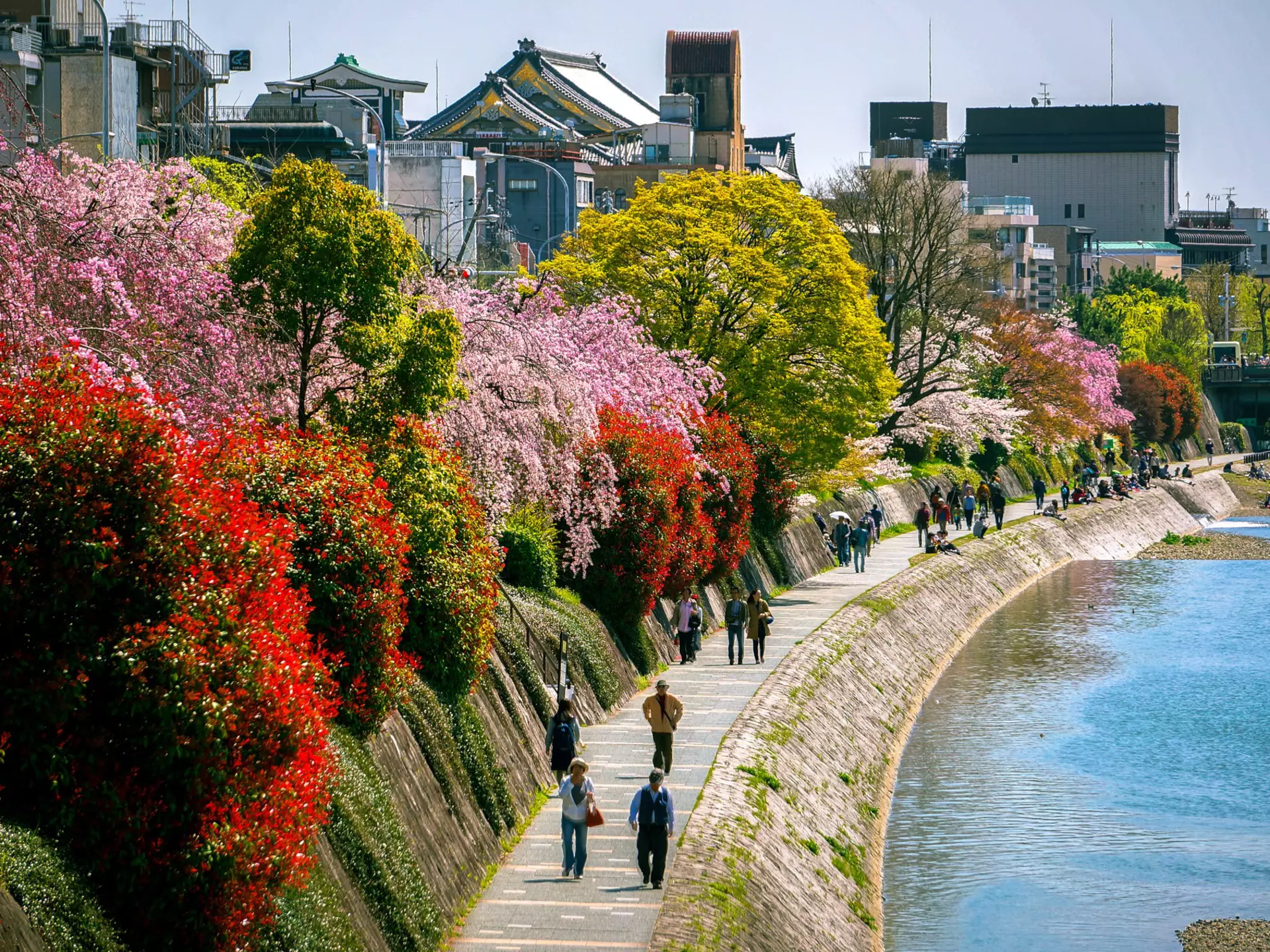 People walk along the embankment path beside a river lined with flowers and plants in bloom in the sunshine.