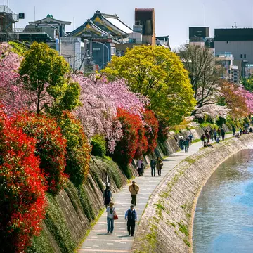 People walk along the embankment path beside a river lined with flowers and plants in bloom in the sunshine.