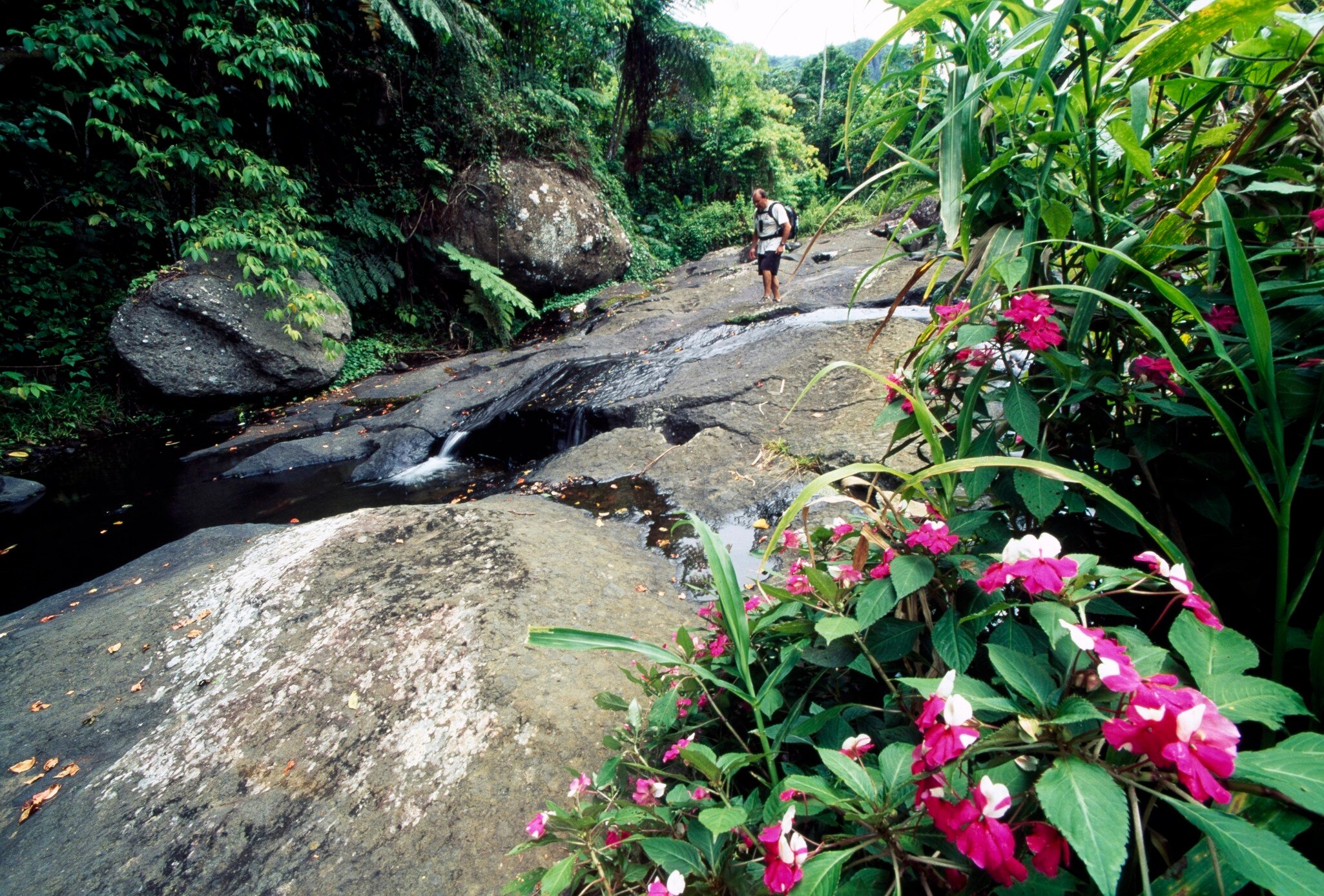 A hiker pauses on a rocky stretch of a trail with a stream running through it.