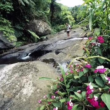 A hiker pauses on a rocky stretch of a trail with a stream running through it.