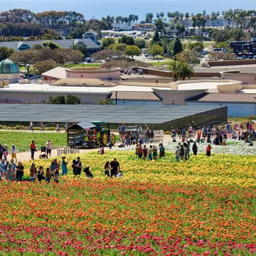 1395395253
carlsbad, united states
