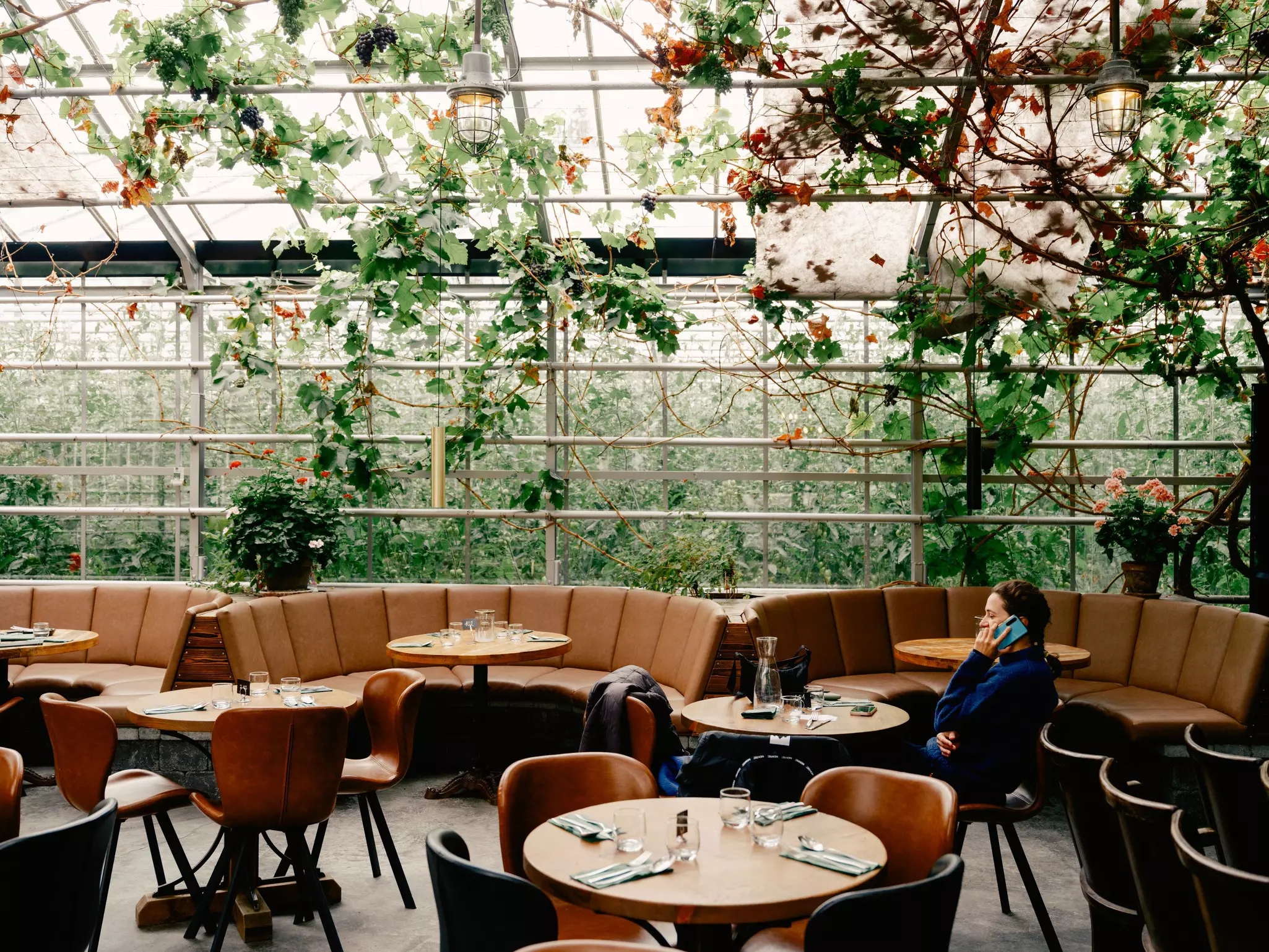 Friðheimar, a restaurant inside of a greenhouse that specializes in tomatoes and tomato-based dishes in the Golden Circle Area of Iceland