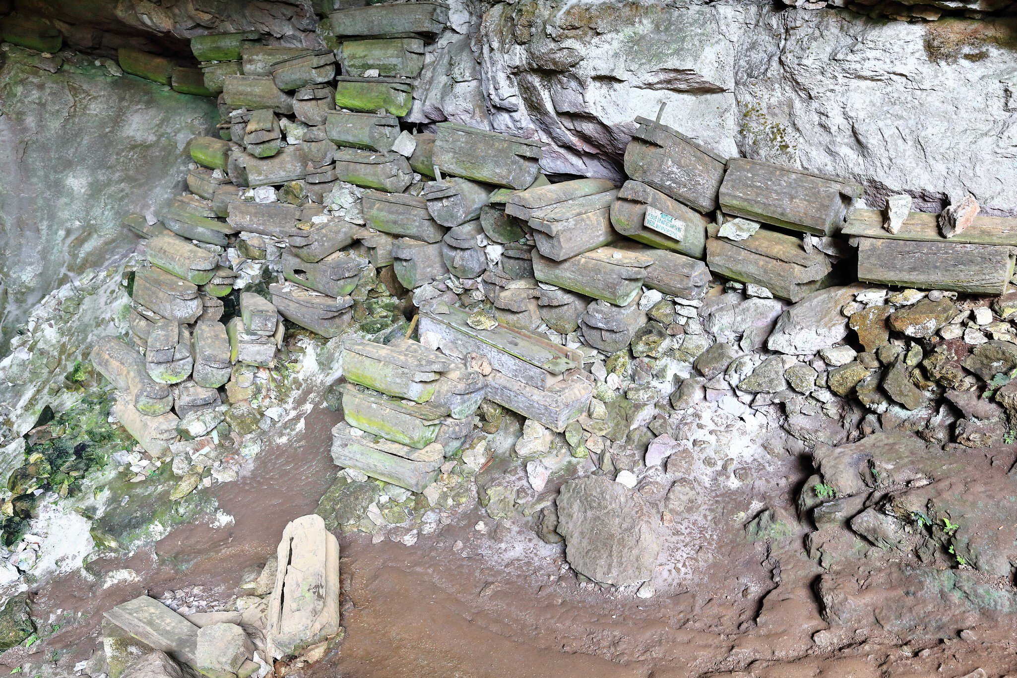 More than 100 wooden coffins -the oldest thought to have c.500 years- stacked at the lichen-lined entrance hall. Lumiang Burial Cave-Sagada-Mountain province-Cordillera region-Luzon island-Philippines