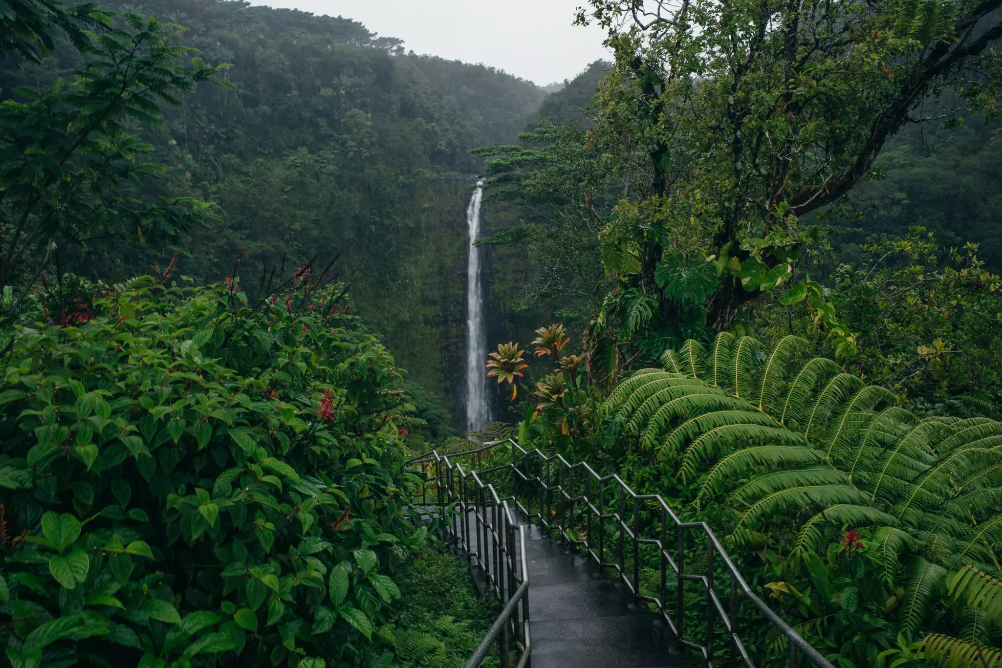 A stepped concrete path bordered by metal handrails leads through a tropical rain forest toward a high, narrow waterfall on an overcast day.