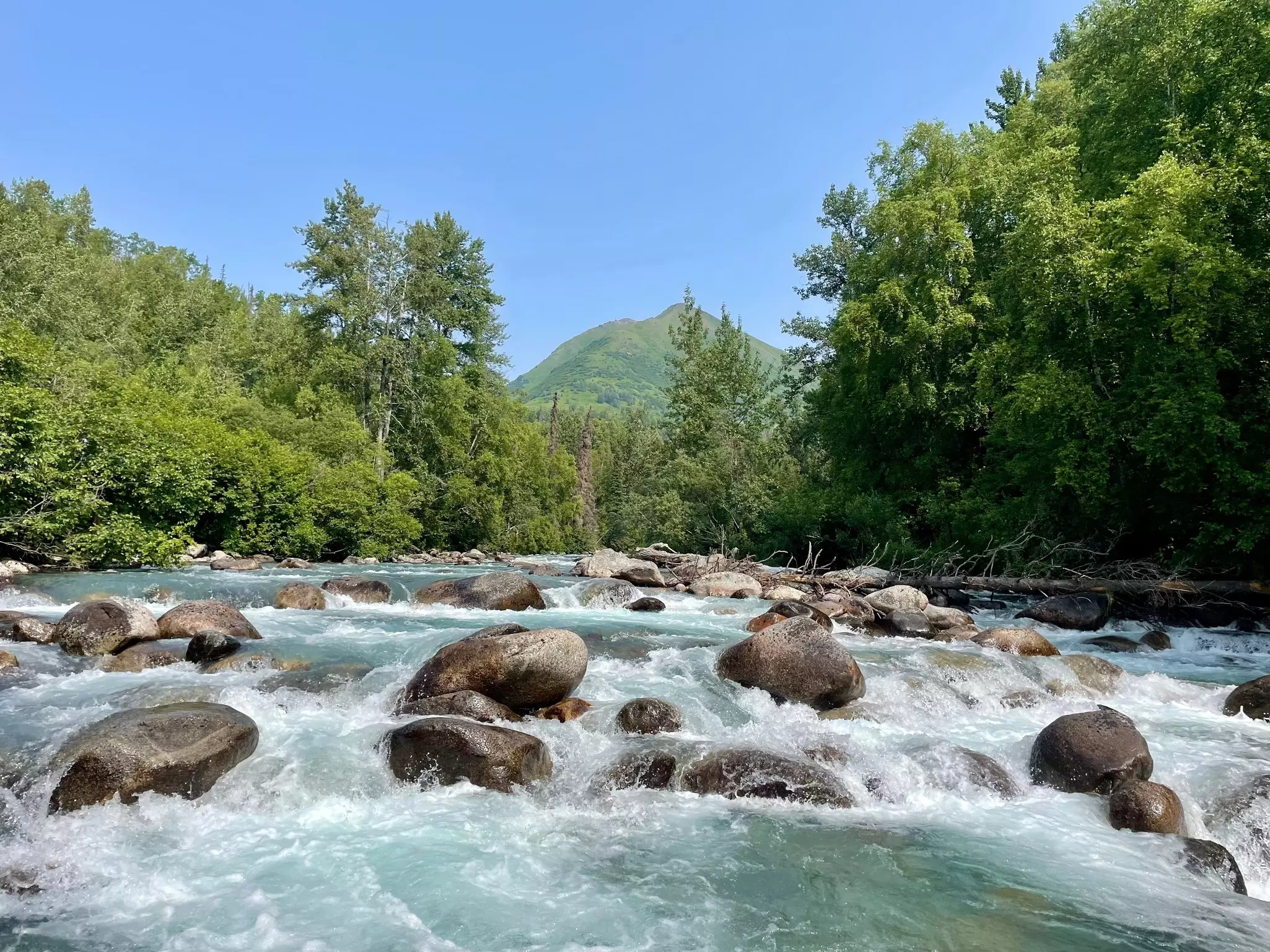 A fast-running river runs down from a mountain in a forested area.