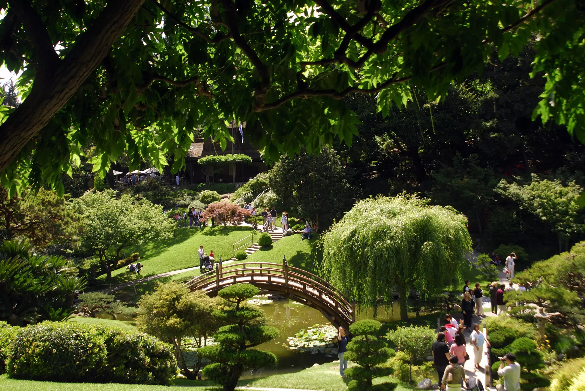 The Japanese Garden at the Huntington