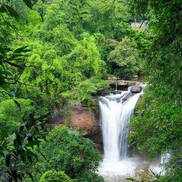 A waterfall pouring over a rock ledge into a brown pool, surrounded by thick jungle in Khao Yai National Park.