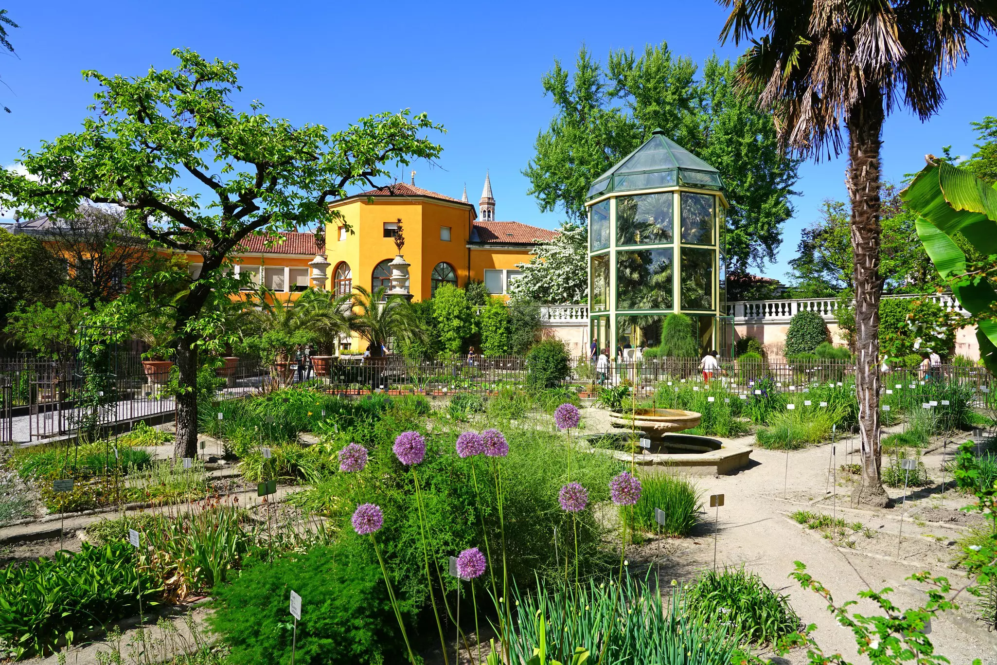 Floral beds at the Orto Botanico inside the University of Padua, the Veneto, Italy.