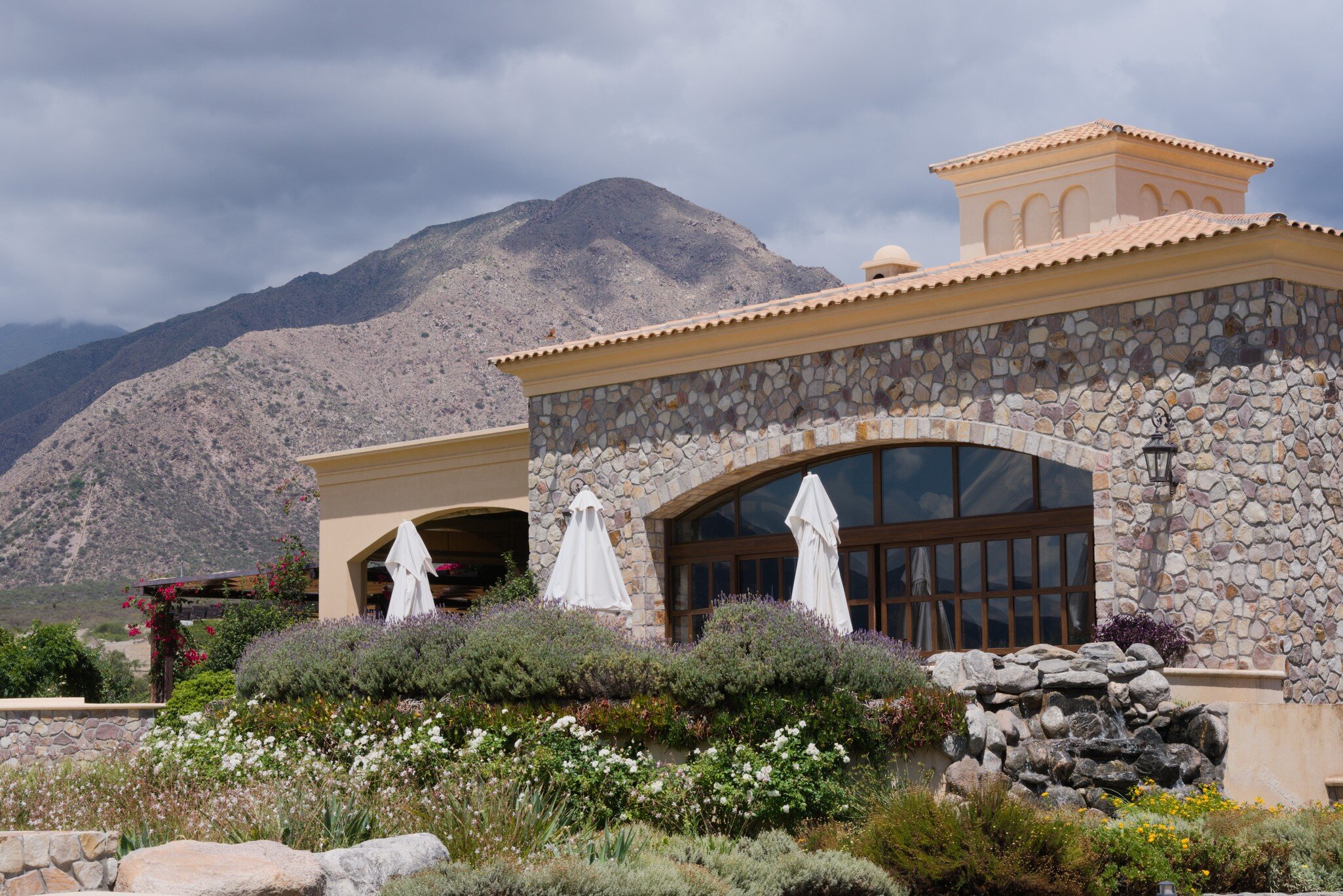 Piattelli Vineyards with mountain in the background in Cafayate, Province of Salta, Argentina.
