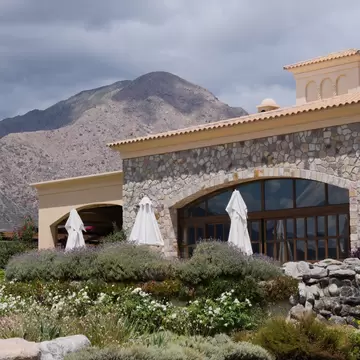 Piattelli Vineyards with mountain in the background in Cafayate, Province of Salta, Argentina.
