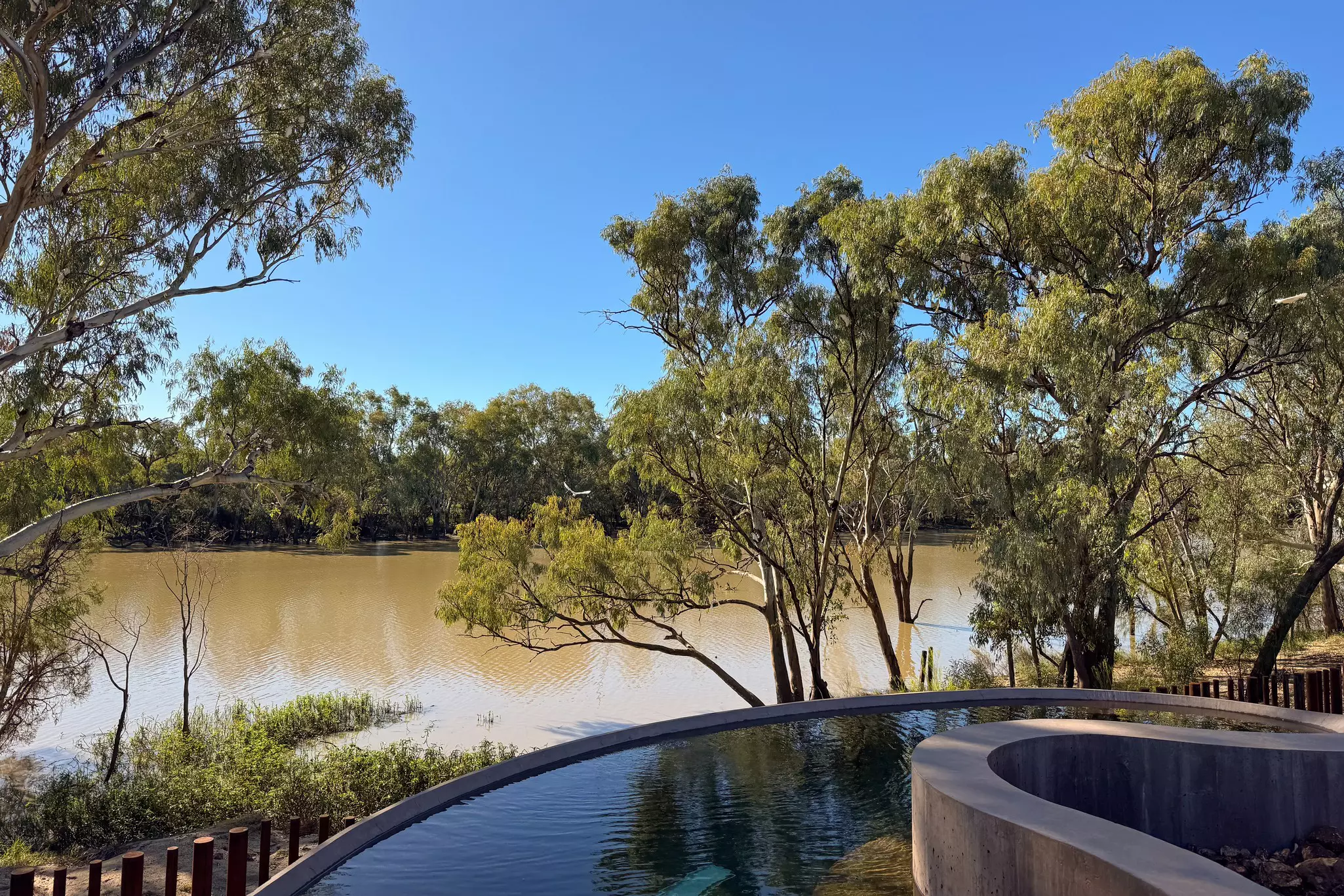 Riverside hot-spring tubs surrounded by trees.