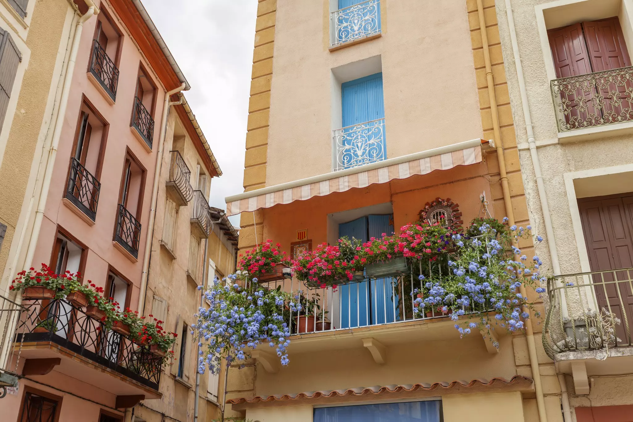 Colored houses with flowers draped on balconies in the French village of Arles-sur-Tech, Languedoc-Roussillon, France.