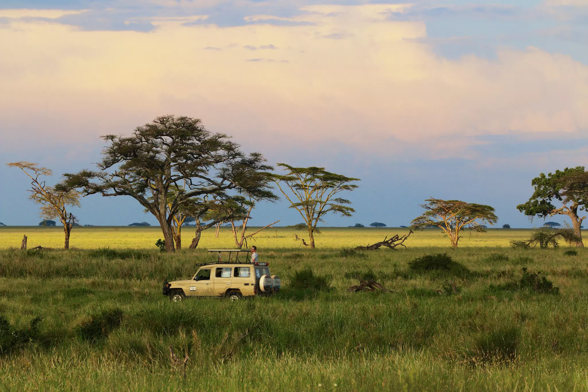 A budget safari can come in at around US$150 per day © Oscar Xu / Getty Images