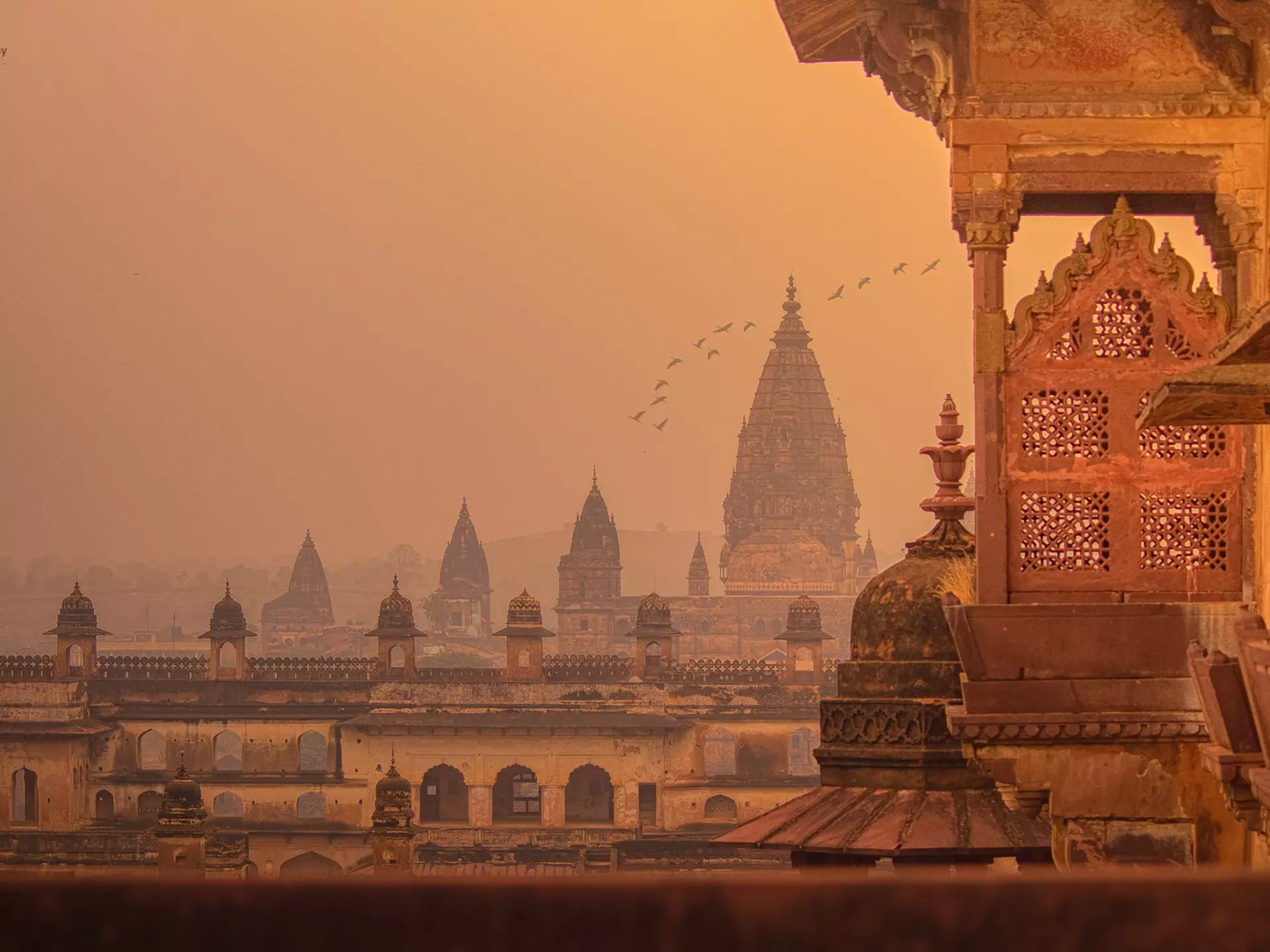 Palace view, Madhya Pradesh, India
Dhiraj, King, MP, Madhya Pradesh, Morning, Orchha, Palace, Amritraj', india, architecture, brown, haze, building, rooftops, skyline, horizon, sunset, stone work, stone, landmark, asia