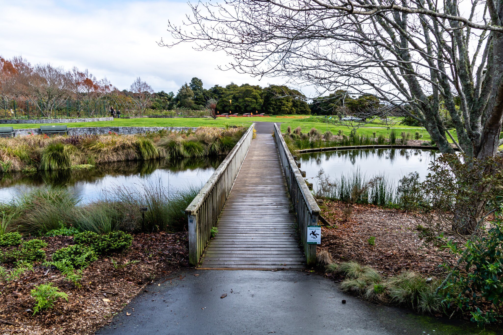 View of a wooden bridge crossing a pond at the Auckland Botanic Gardens in Auckland, New Zealand.